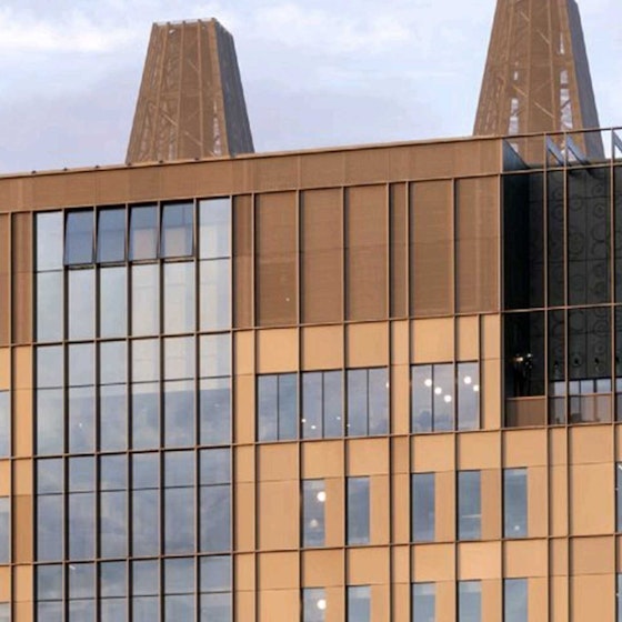 London Institute of Medical Sciences