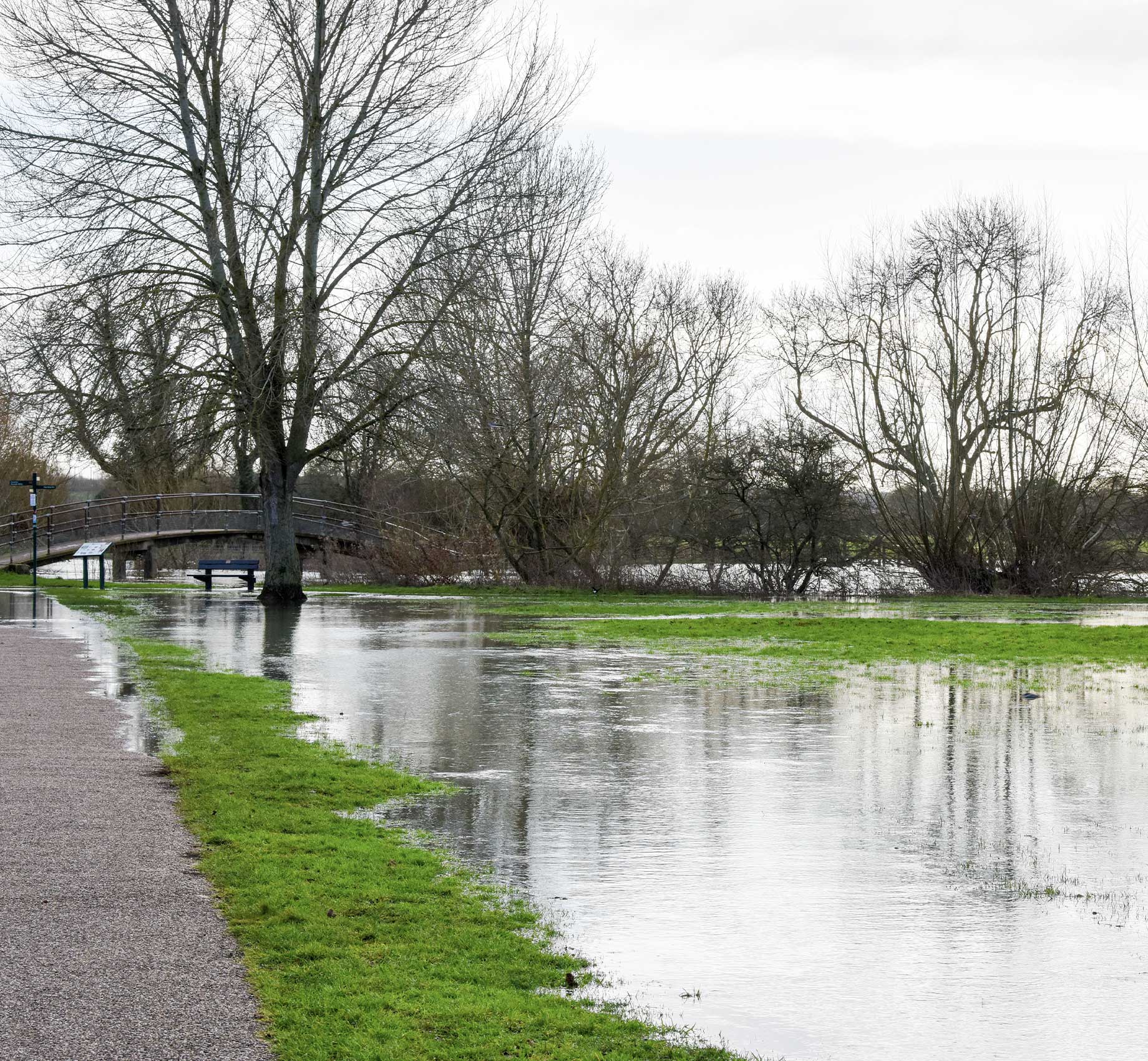 Early Project Stage Services