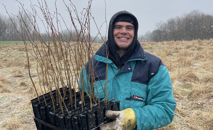 Tree Planting