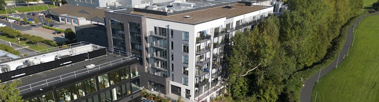 Joinery Pottery Road, Mentec House