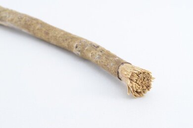 miswak