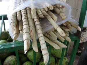 sugarcane stacked up