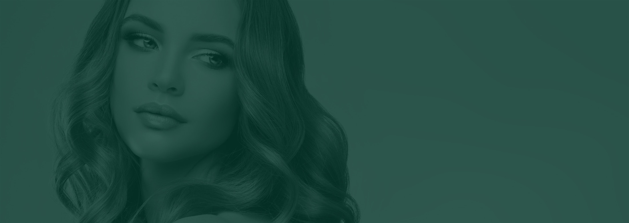 Banner media