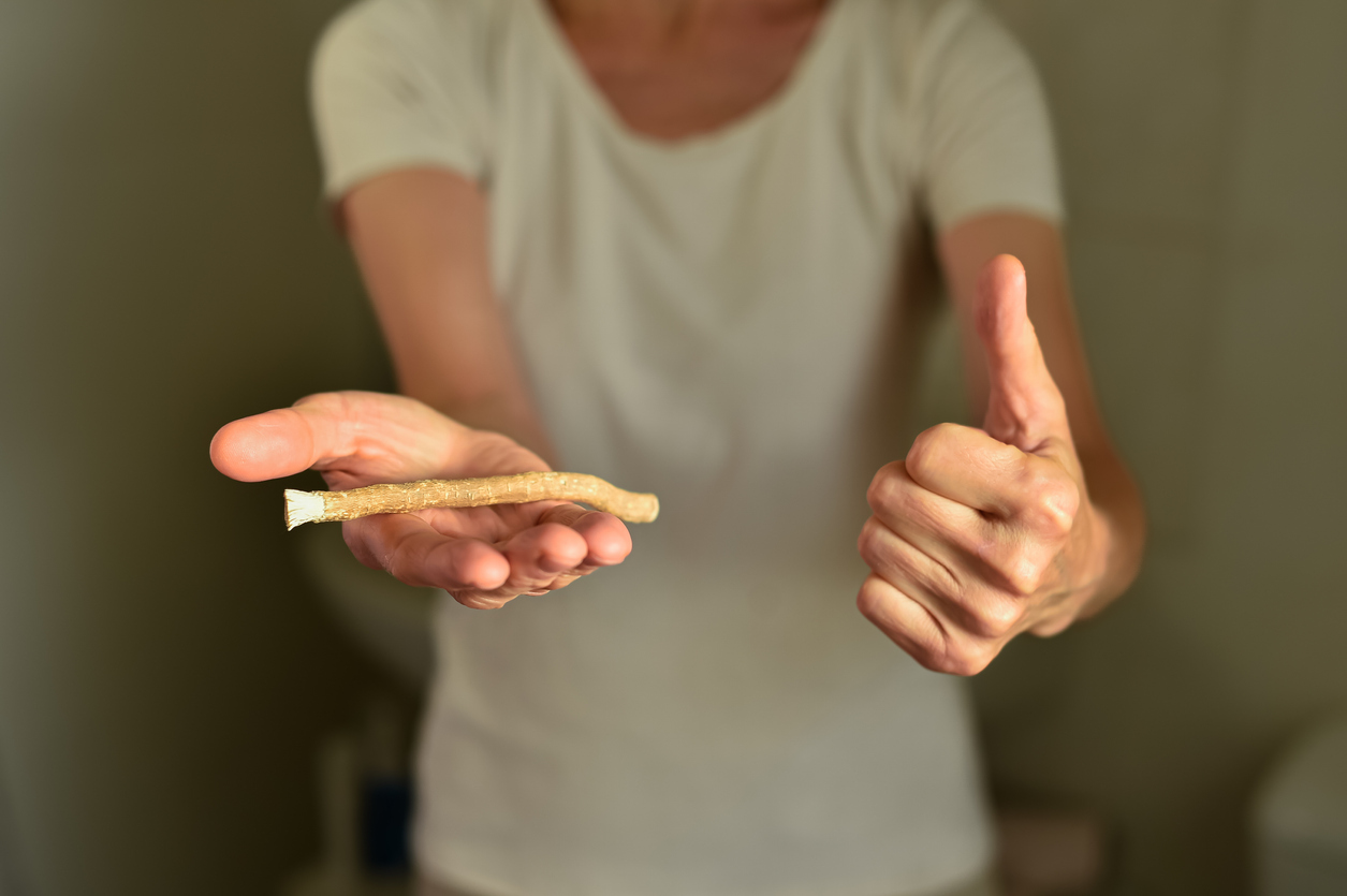 Person holding a natural miswak stick used for oral hygiene with a thumbs up gesture