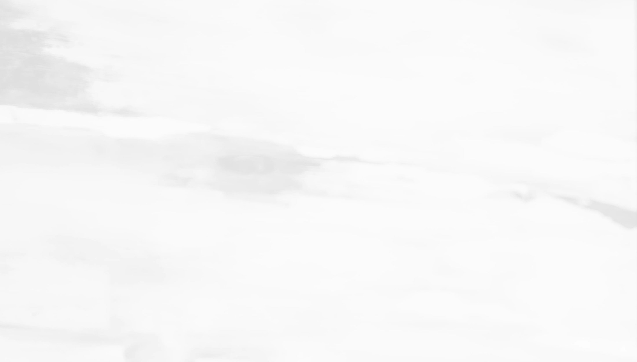 white and grey background design