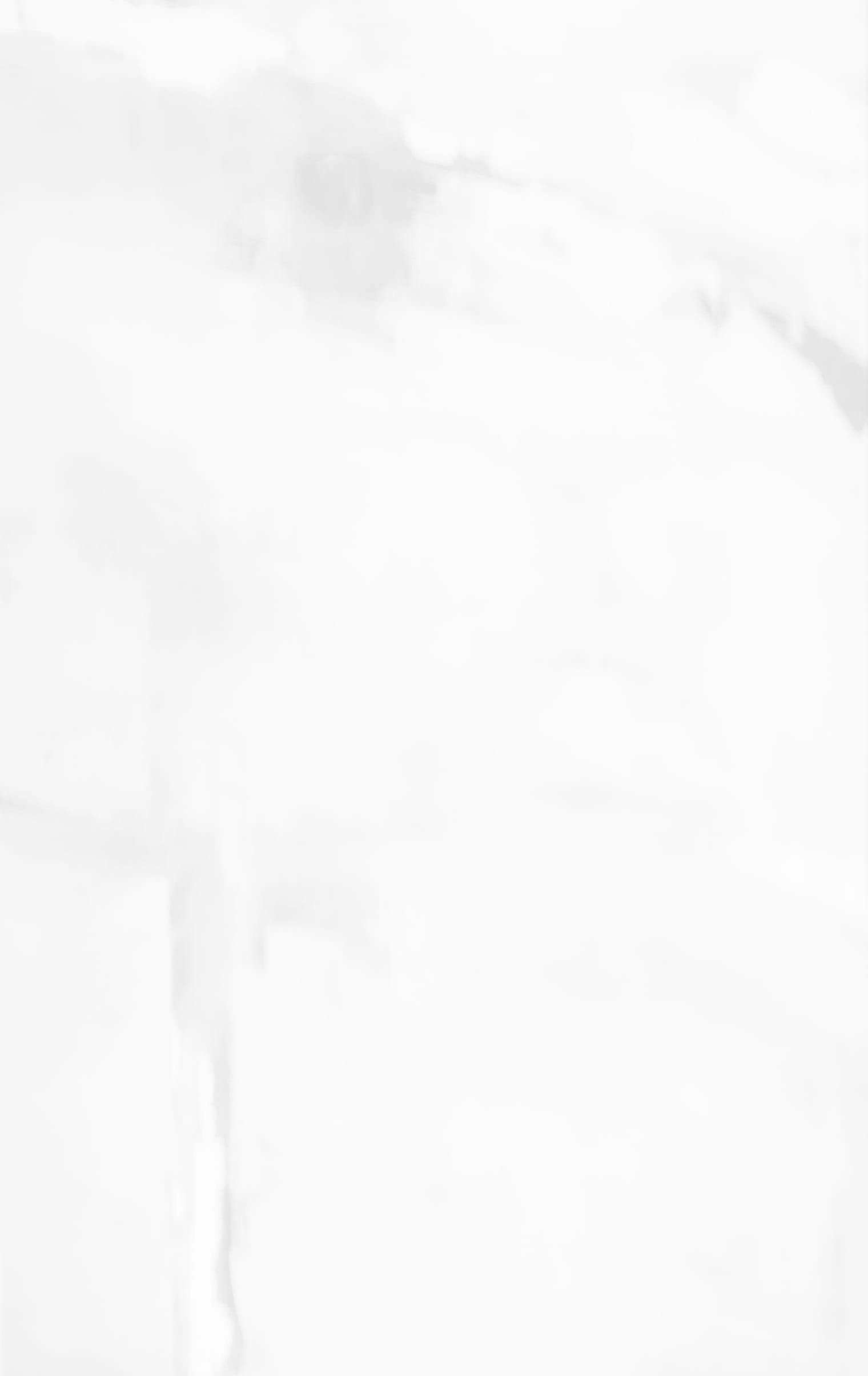 Grey and white background design