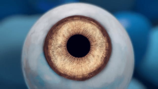Coastal Eye