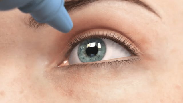 Coastal Eye