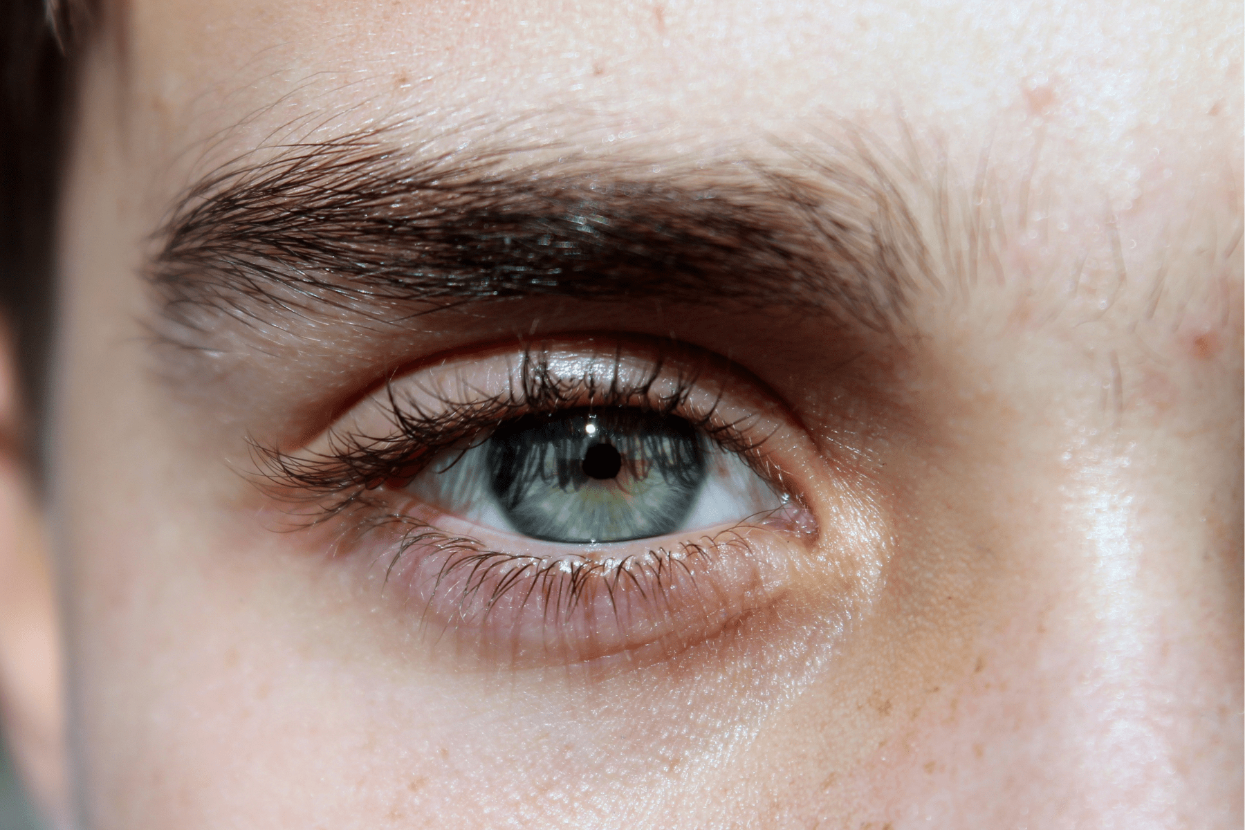 close up blue eye
