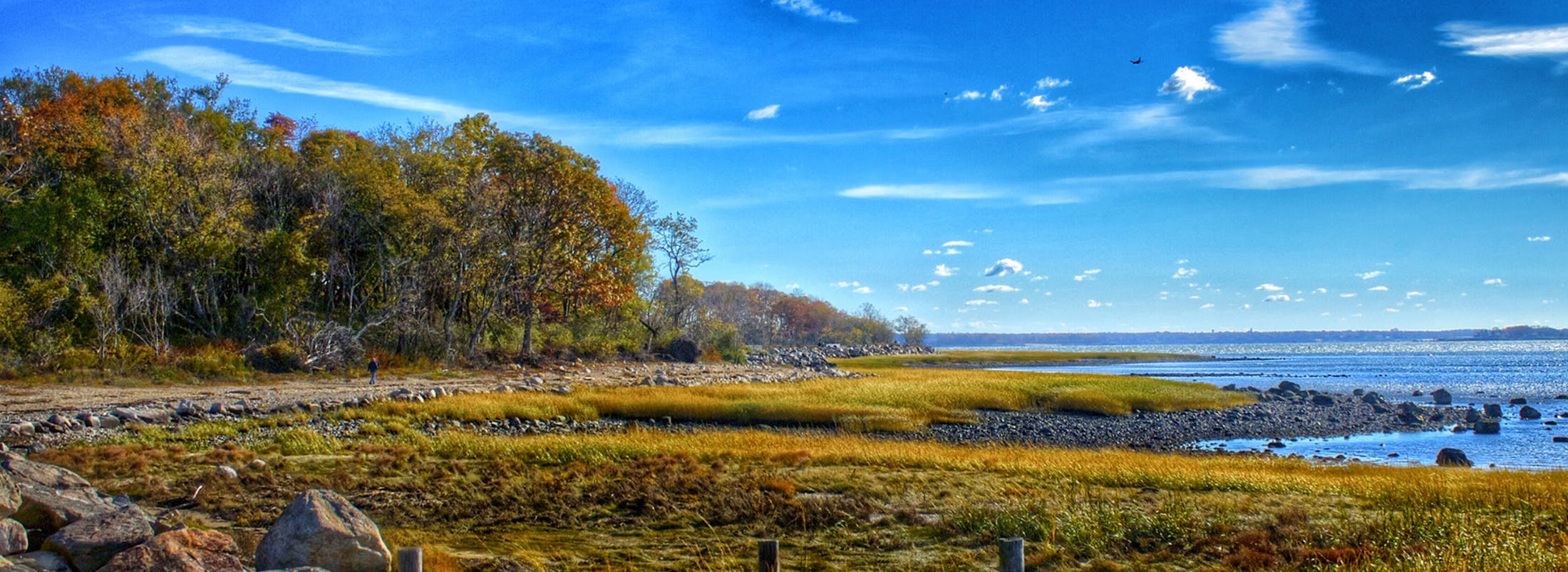 Photo of nature near greenwich