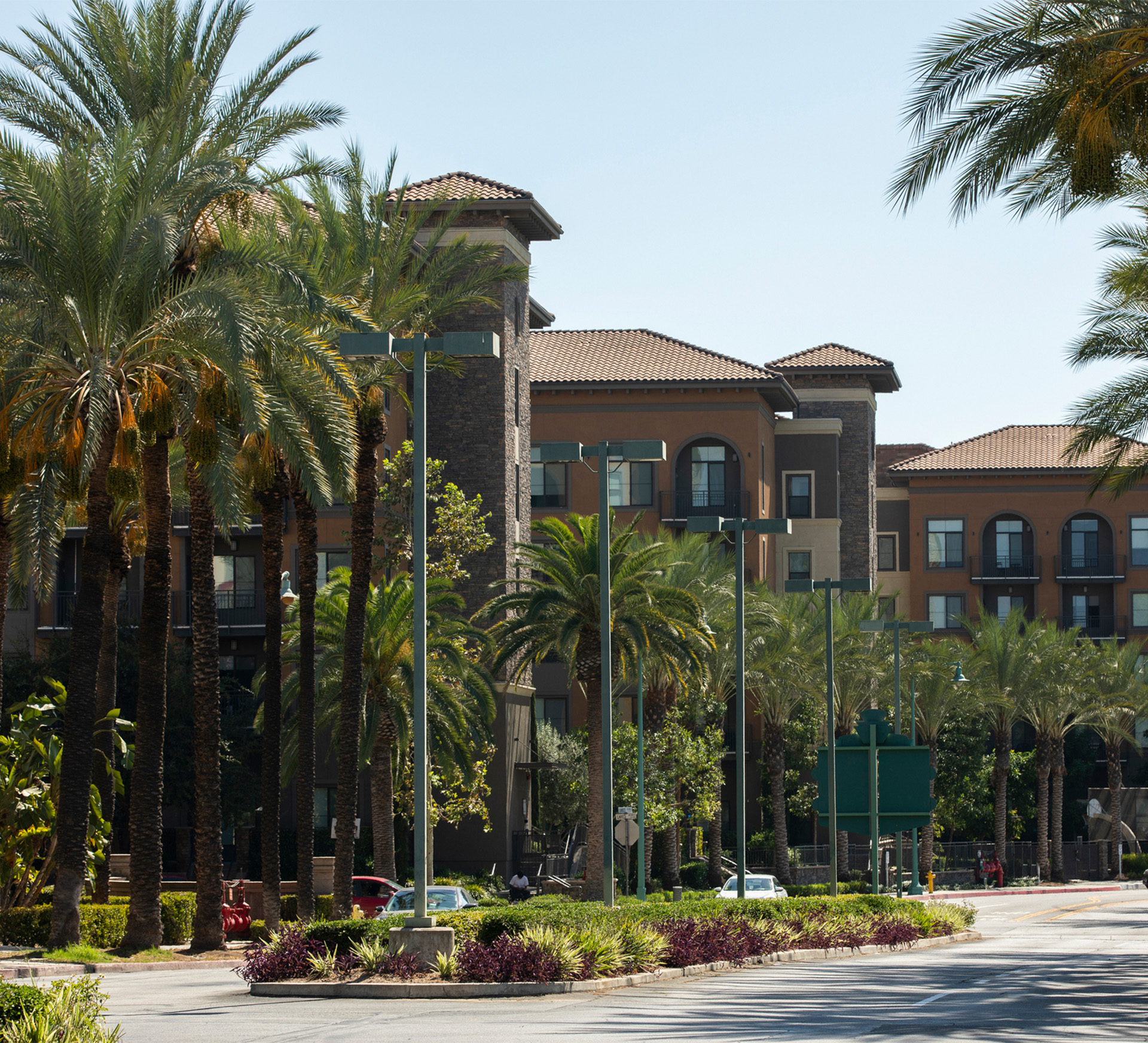 a street with palm trees and a building complex in the background