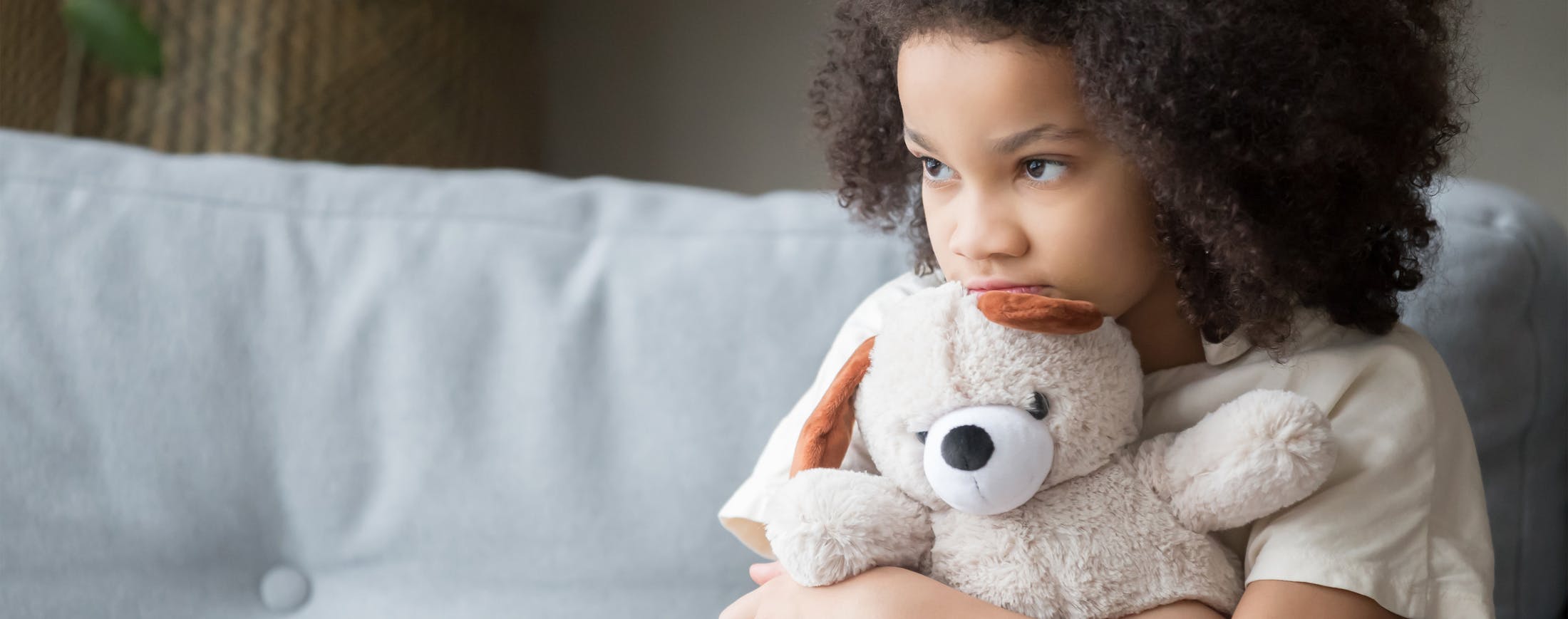 Sad Girl With Stuffed Animal - Daycare Negligence Banner