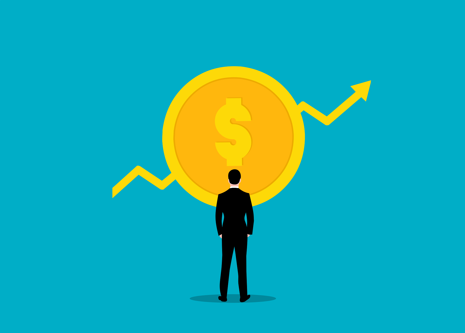 website development cost