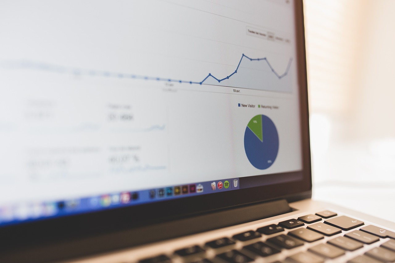 automated SEO reports