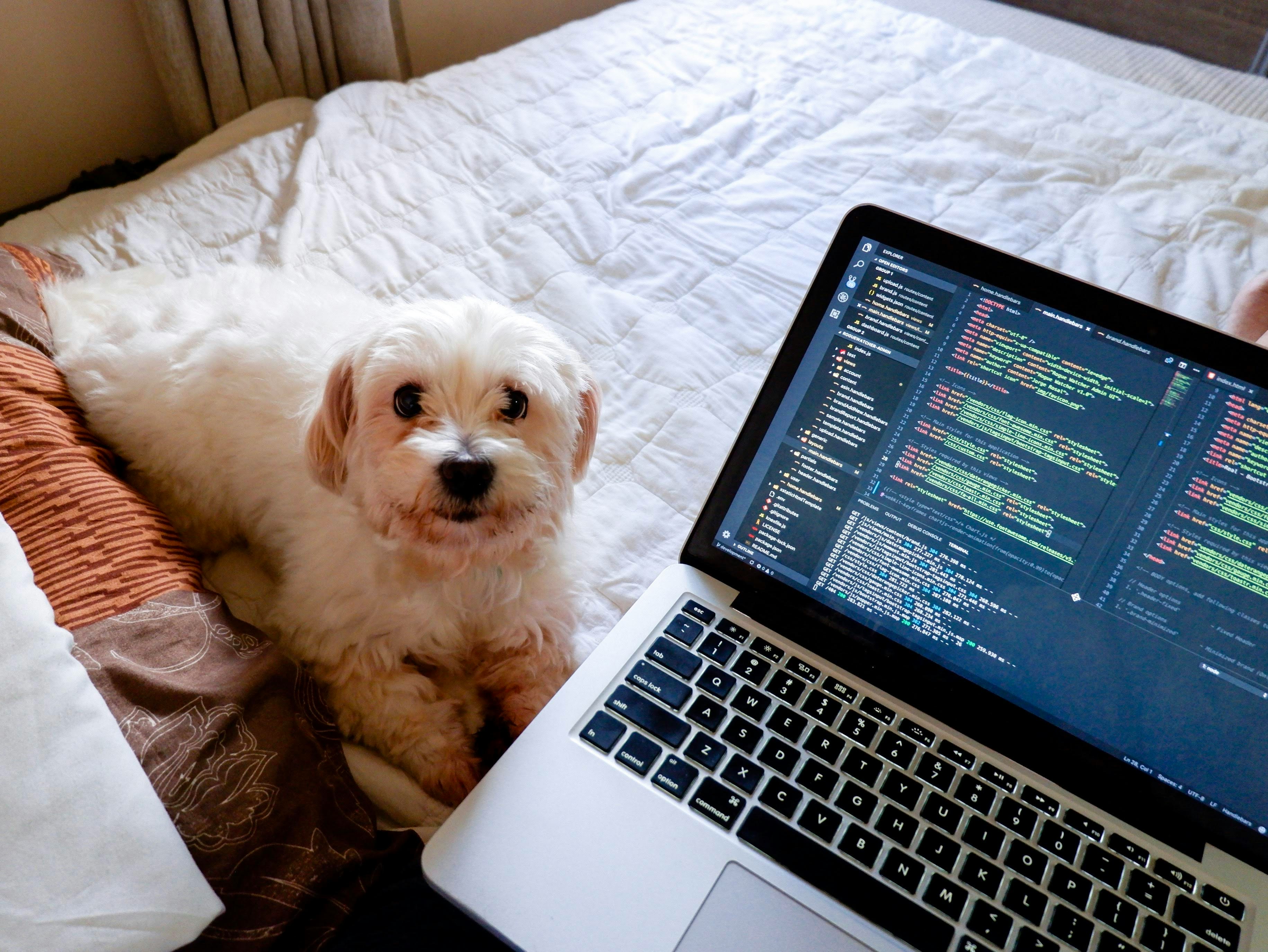 Node.js backend example