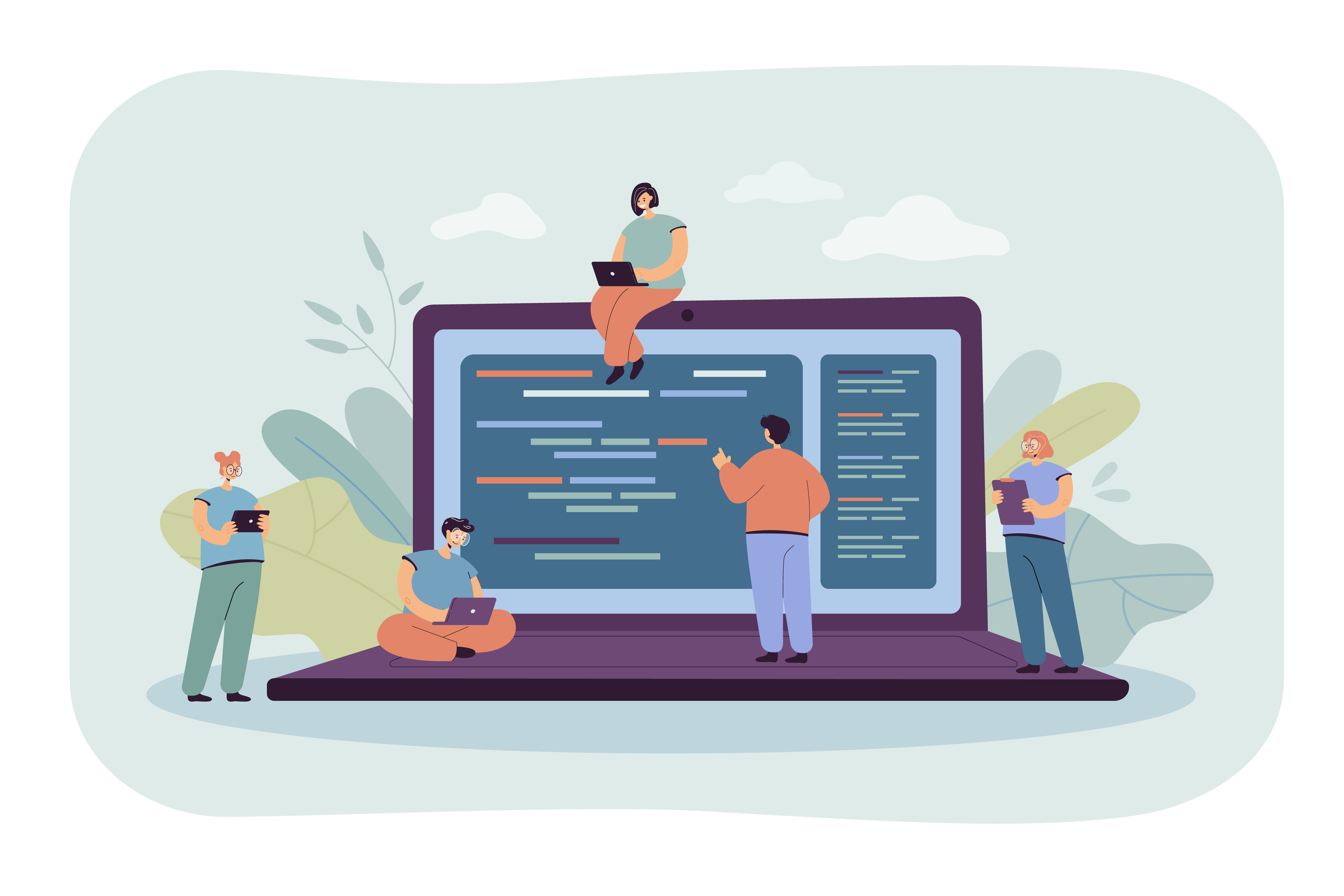 difference between a software engineer and a software developer