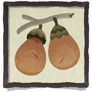 Two acorns hanging on a branch