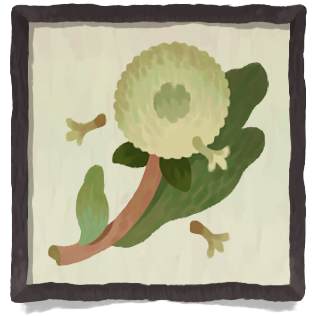 A dandelion and a leaf