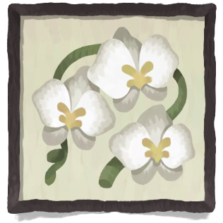 Three white flowers