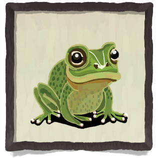 A green frog sitting