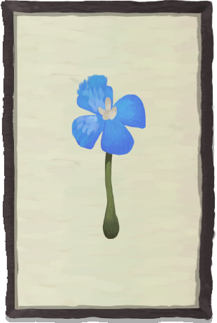 A blue flower