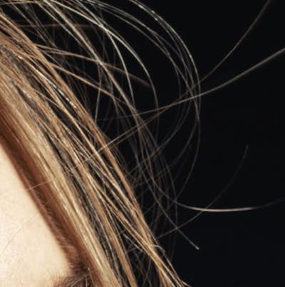 Closeup of a person's hair.