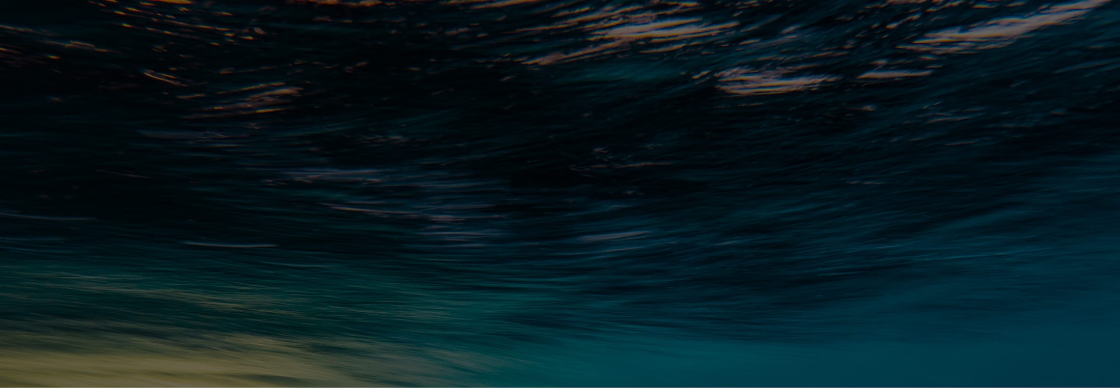 Banner media