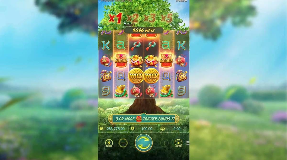 Tree of Fortune Bônus