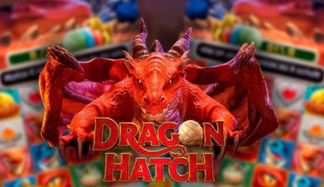 Dragon Hatch Plataforma Nova