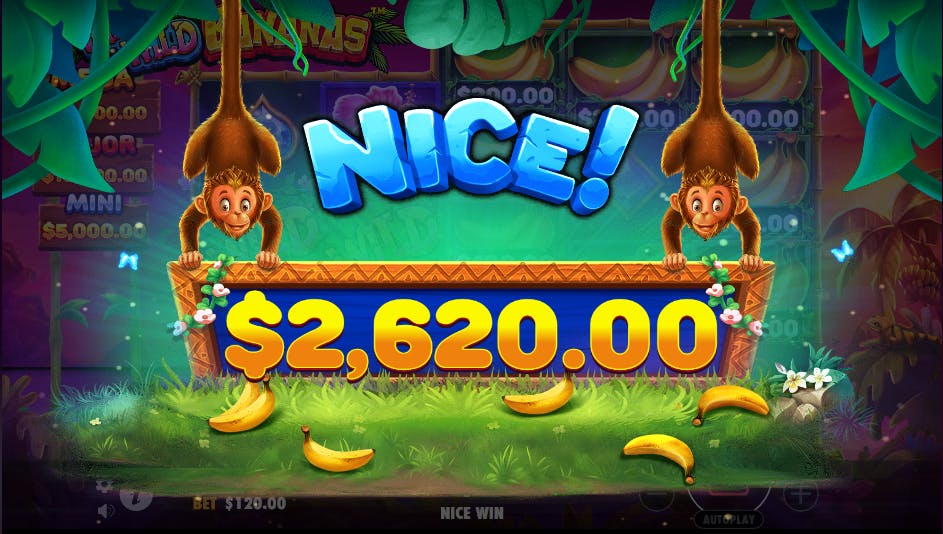 Grande ganho slot Wild Wild Bananas