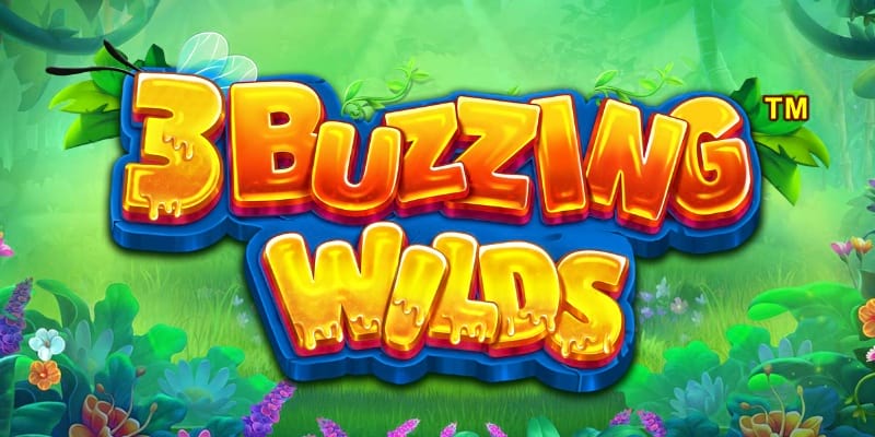 3 Buzzing Wilds Jogo da Abelha Melhor Horário