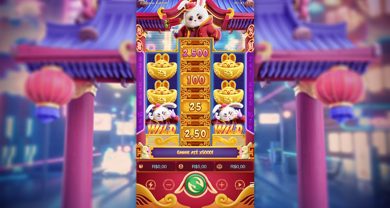 Fortune rabbit layout