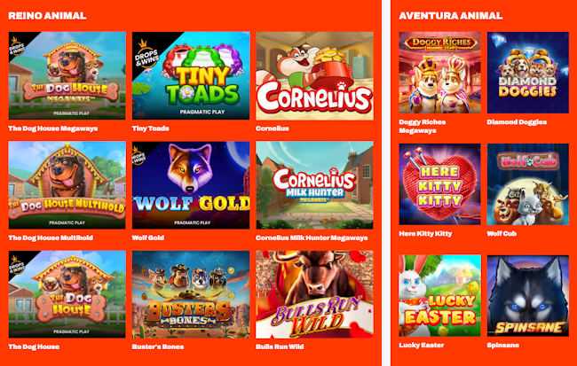Slots cassino BetWarrior