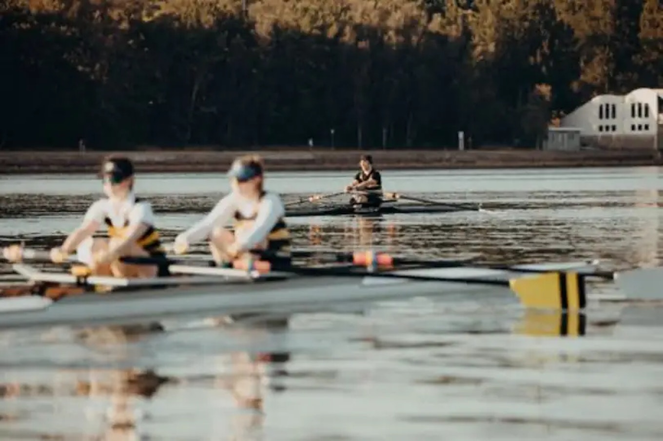 Balmain Para-Rowing | Australian Sports Foundation