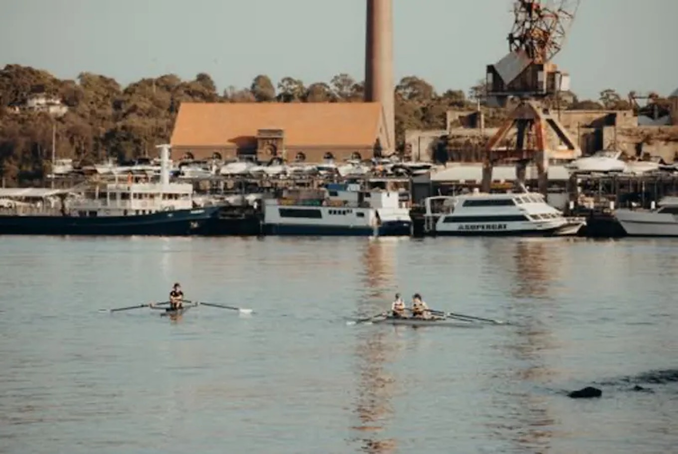 Balmain Para-Rowing | Australian Sports Foundation