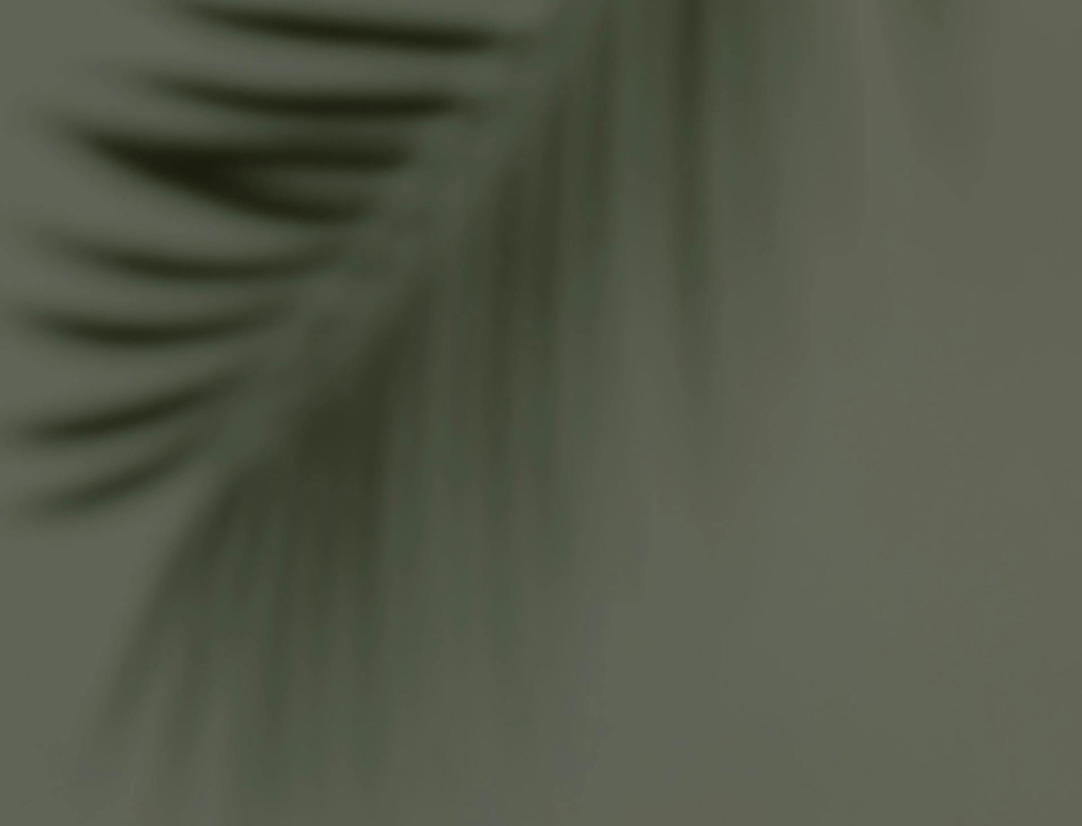 Background media