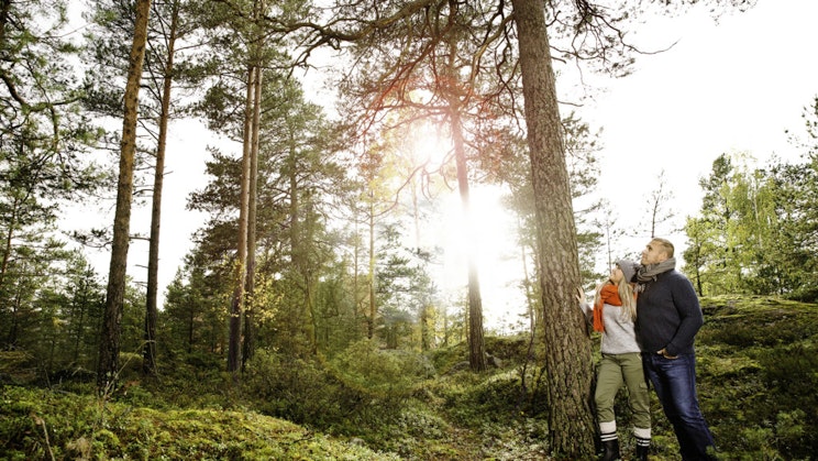 pari ihmistä seisoo vierekkäin metsässä