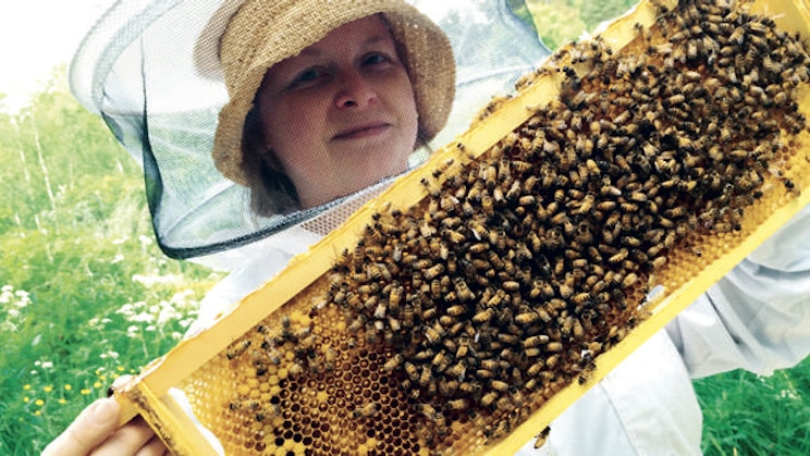 nainen pitelee mehiläisiä täynnä olevaa mehiläispesää