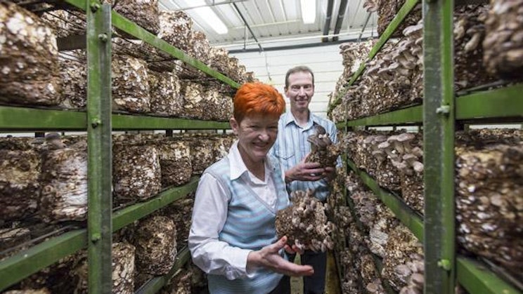 pari ihmistä, jotka seisovat huoneessa