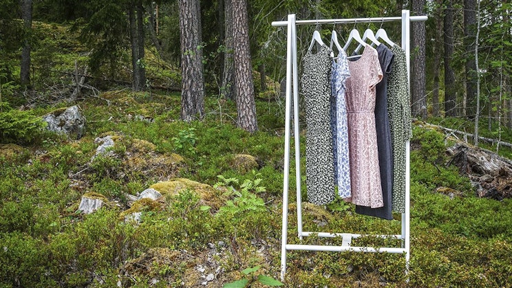 vaateteline, jonka päällä roikkuu vaatteet metsässä