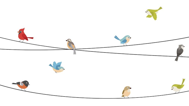 linturyhmä on langan päällä