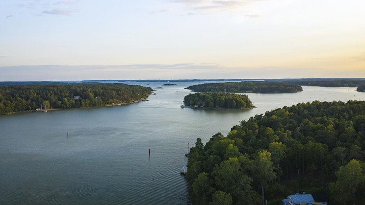 suuri vesistö puiden ympäröimänä