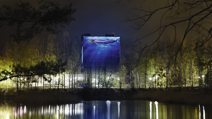 Lammen takana panimorakennus, jossa sinivalasta esittävä valotaideteos.