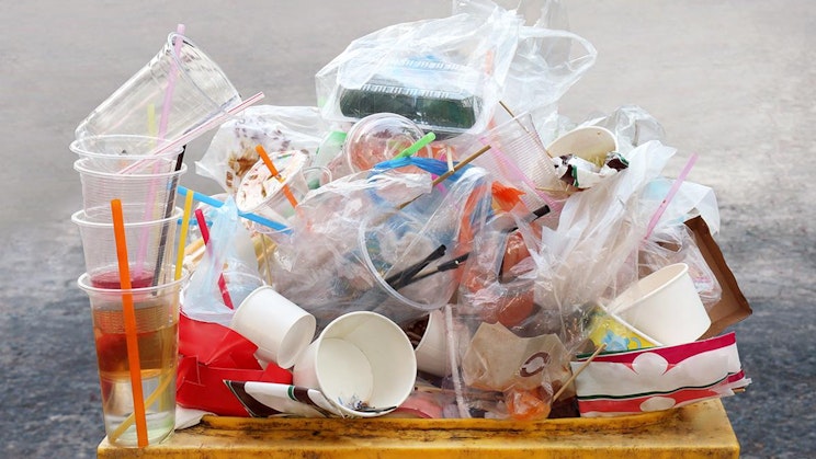 roskakasa puisen häkin päällä