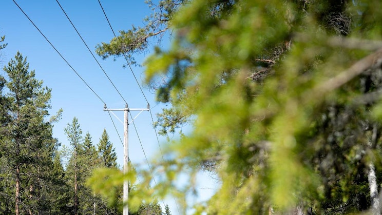näkymä voimalinjoista ja puista kaukaa