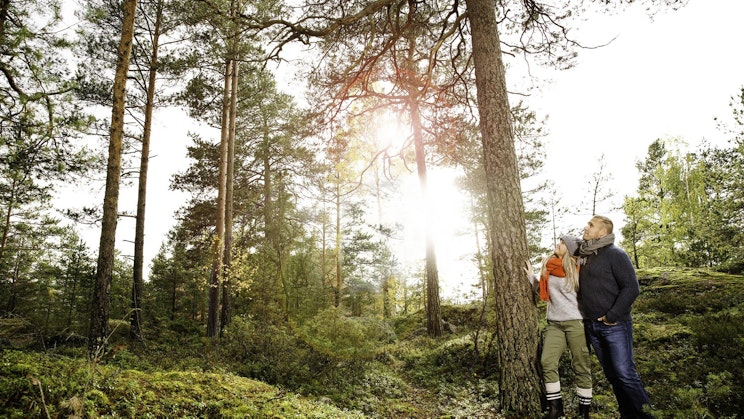 Kaksi ihmistä seisomassa vierekkäin puun vierellä metsässä.