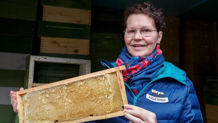 Naisoletettu sinisessä takissa pitelemässä mehiläiskennoa.