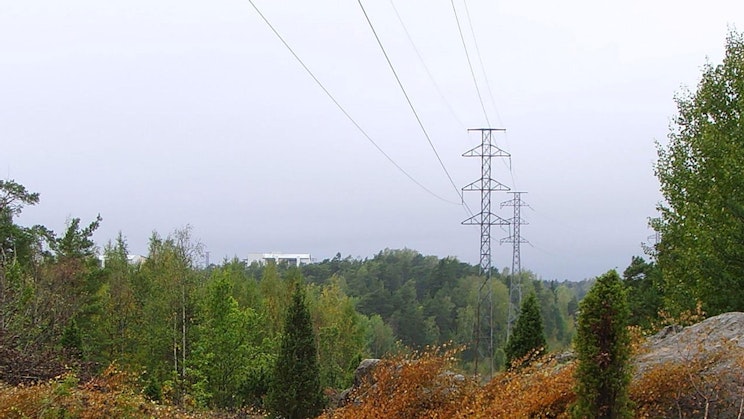 Kuvassa sähköverkot ja niiden ympärillä puita