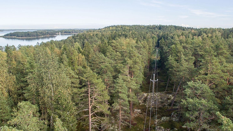 Ilmakuva metsästä, jonka taustalla on järvi