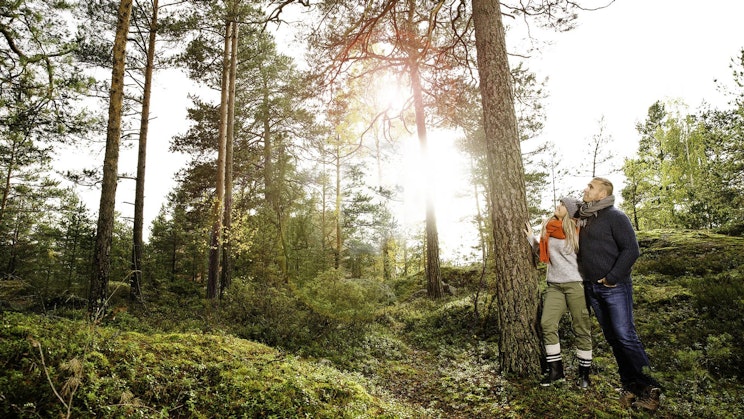 pari ihmistä seisoo vierekkäin metsässä